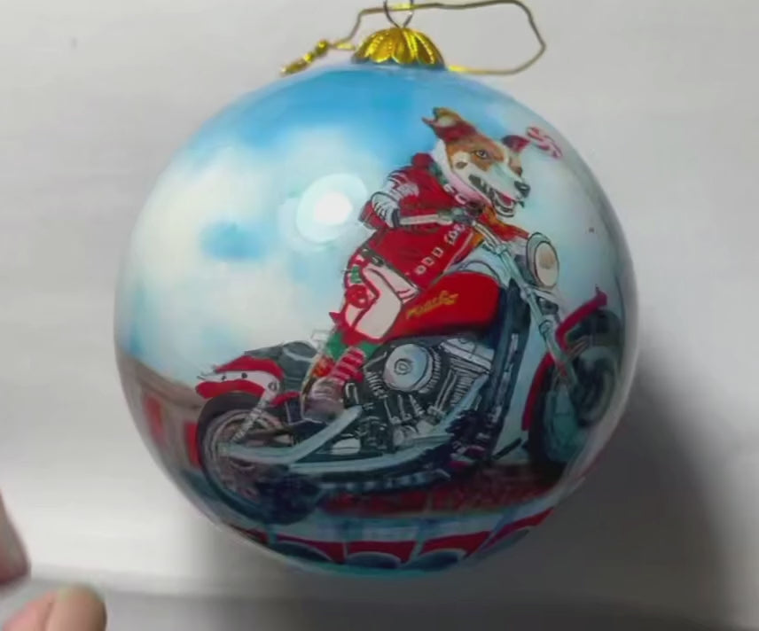 Dog Motorcycle  Evel Knievel